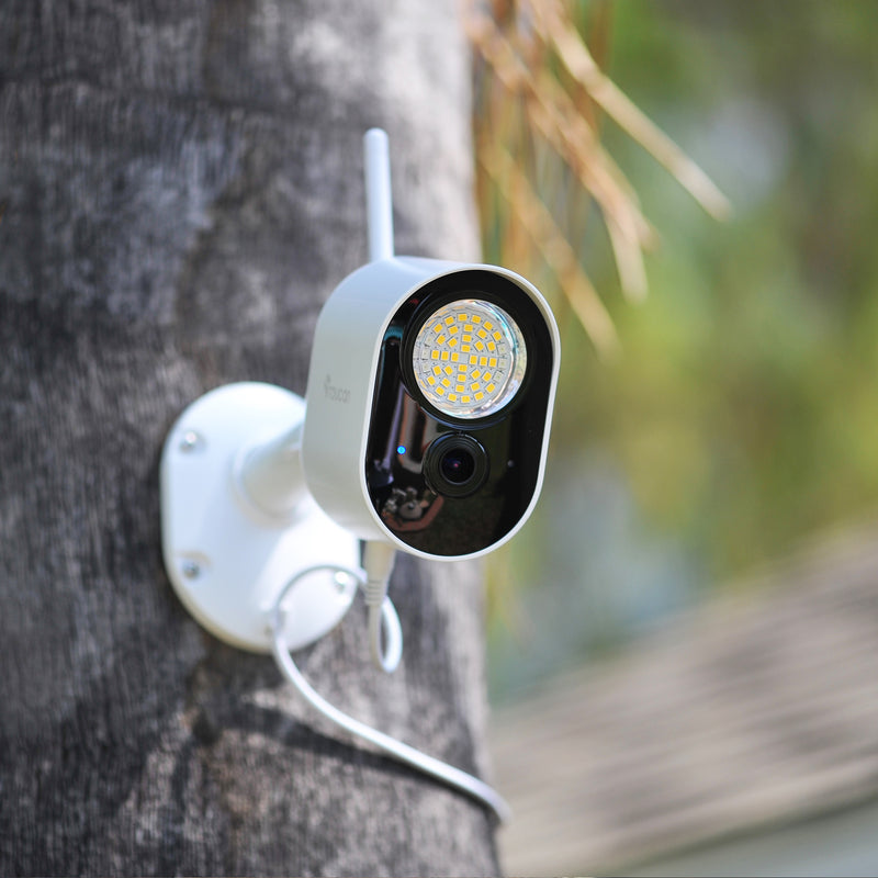 (NEW 2022 RELEASE) Toucan Security Light Camera