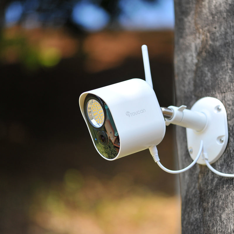 (NEW 2022 RELEASE) Toucan Security Light Camera